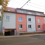 Rent 1 bedroom apartment of 30 m² in Brno