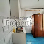 Rent 12 bedroom house of 230 m² in City of Zagreb