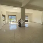 Rent 1 bedroom apartment of 100 m² in Atina