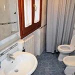 Rent 1 bedroom apartment in Rome