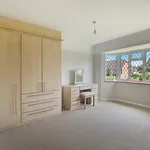 Rent 2 bedroom house in Colchester