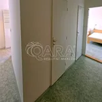 Rent 1 bedroom apartment of 37 m² in Králův Dvůr