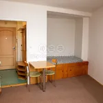 Rent 1 bedroom apartment of 30 m² in Jindřichův Hradec