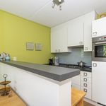 Rent 1 bedroom apartment of 70 m² in Breda