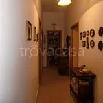 Rent 2 bedroom apartment of 50 m² in Pescara