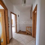 Rent 7 bedroom house of 150 m² in Potenza Picena