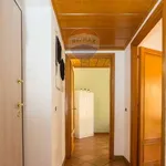 Studio of 34 m² in Rome