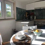 Rent 1 bedroom apartment of 38 m² in lisbon