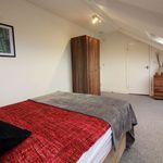 Rent a room in North East England