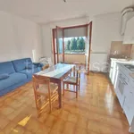 Rent 1 bedroom apartment of 40 m² in Casatenovo