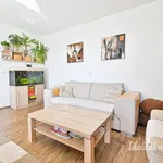 Rent 3 bedroom apartment of 77 m² in Brno