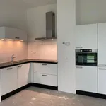 Huur 1 slaapkamer appartement van 45 m² in Leiden