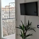 Rent 1 bedroom apartment of 37 m² in Milano