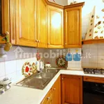 Rent 4 bedroom apartment of 115 m² in Rome