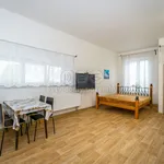 Rent 1 bedroom apartment of 38 m² in Holice