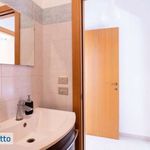 Bilocale arredato con terrazzo Centro