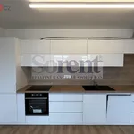 Rent 3 bedroom apartment of 73 m² in České Budějovice