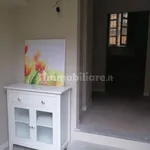 Rent 2 bedroom apartment of 65 m² in Pavia