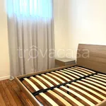 Rent 2 bedroom apartment of 50 m² in Torino