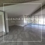 Rent 5 bedroom house of 333 m² in Cavazzale