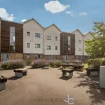 Rent 1 bedroom flat in Colchester