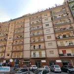 Affitto 3 camera appartamento di 109 m² in Palermo