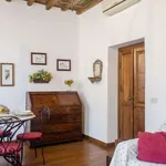 Rent 1 bedroom apartment of 50 m² in rome