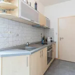 Rent 3 bedroom apartment in Praha 2