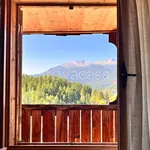 Rent 3 bedroom apartment of 115 m² in Cortina d'Ampezzo