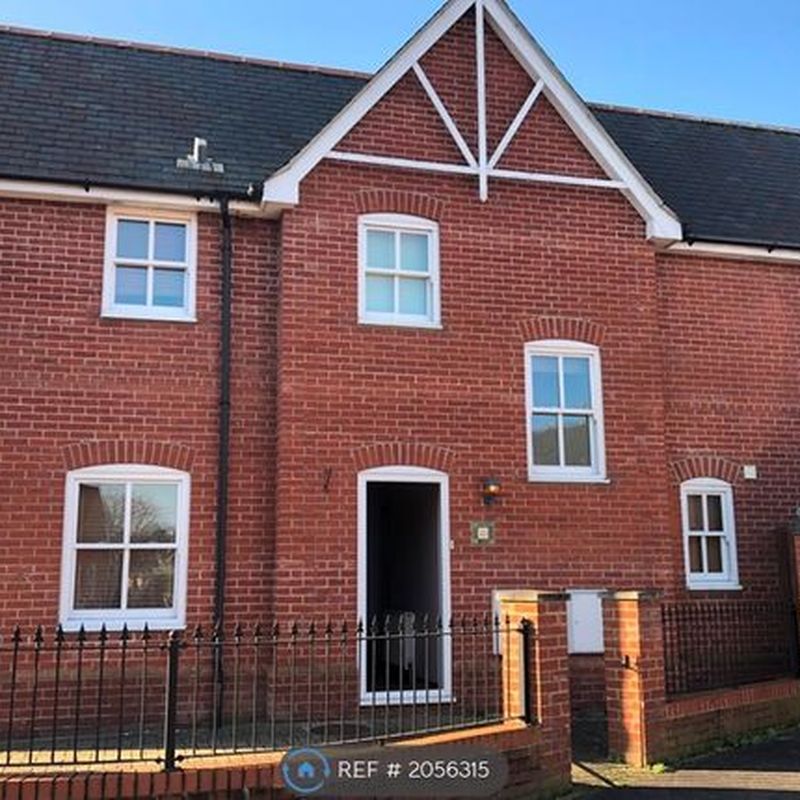 Detached house to rent in Spurgeon Street, Colchester CO1