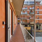 Rent 1 bedroom apartment of 37 m² in Bologna