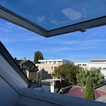 Rent 1 bedroom apartment of 30 m² in Friedrichshafen