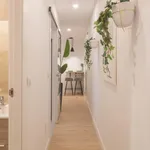 Rent 5 bedroom apartment in Madrid