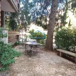 Rent 3 bedroom apartment of 110 m² in Avellino