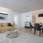 Rent 1 bedroom apartment of 60 m² in porto