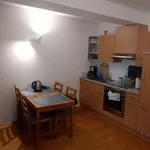 Rent 1 bedroom apartment of 366 m² in vienna