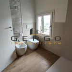 Rent 3 bedroom apartment of 110 m² in treviso