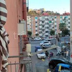 Rent 2 bedroom apartment of 55 m² in Naples