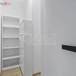 Rent 2 bedroom apartment of 50 m² in Trhový Štěpánov