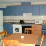 Rent 1 bedroom apartment of 60 m² in Alicante']