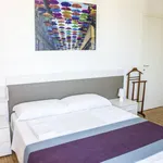 Rent 1 bedroom apartment in Milan