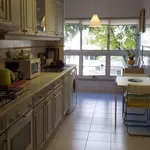 Rent 1 bedroom apartment in lisbon