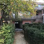  appartement avec 1 chambre(s) en location à Schaerbeek