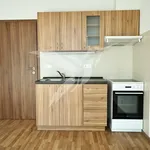 Pronajměte si 1 ložnic/e byt o rozloze 27 m² v Pilsen