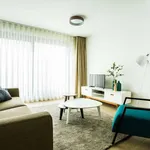 Rent 2 bedroom apartment of 65 m² in brussels