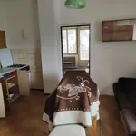 Rent 1 bedroom apartment in České Budějovice