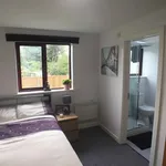 Rent 1 bedroom flat in Charnwood