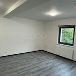 Rent 1 bedroom apartment of 34 m² in Hradec Králové