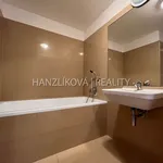 Pronajměte si 2 ložnic/e byt o rozloze 45 m² v České Budějovice