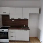 Rent 1 bedroom apartment of 47 m² in Brno